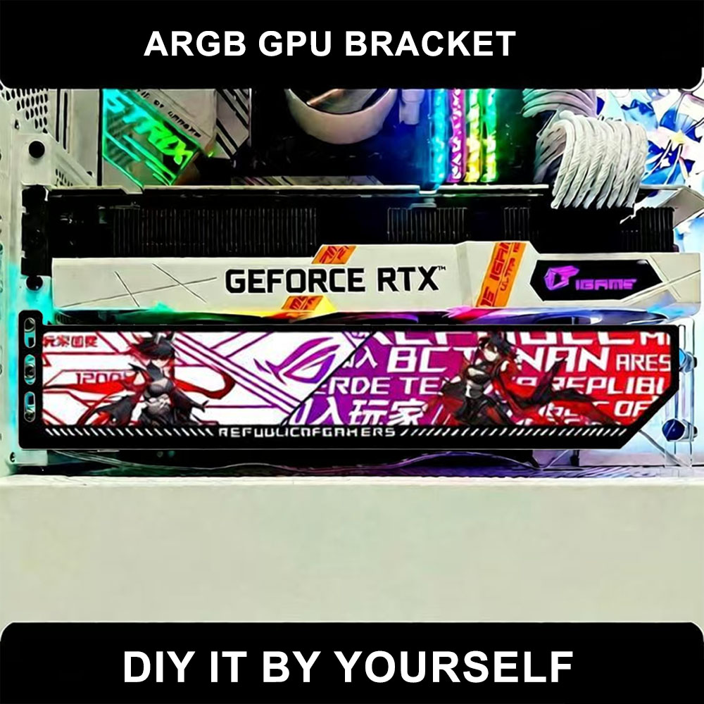 Customize RGB VGA Holder 5V/12 - Gaming Card Holder 评论和价格